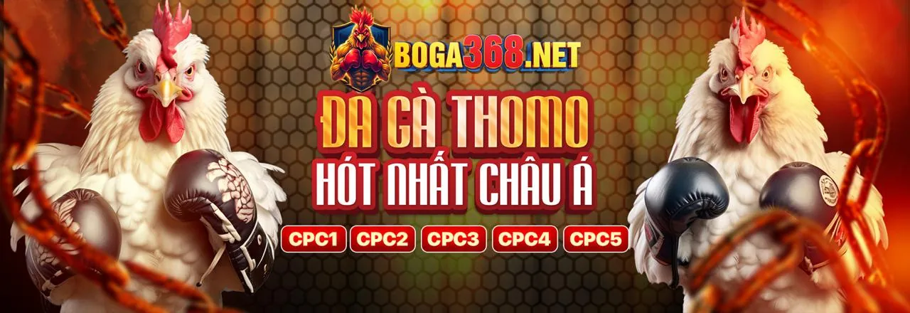 Sân đấu đá gà trực tuyến kịch tính tại crown88 nhà cái